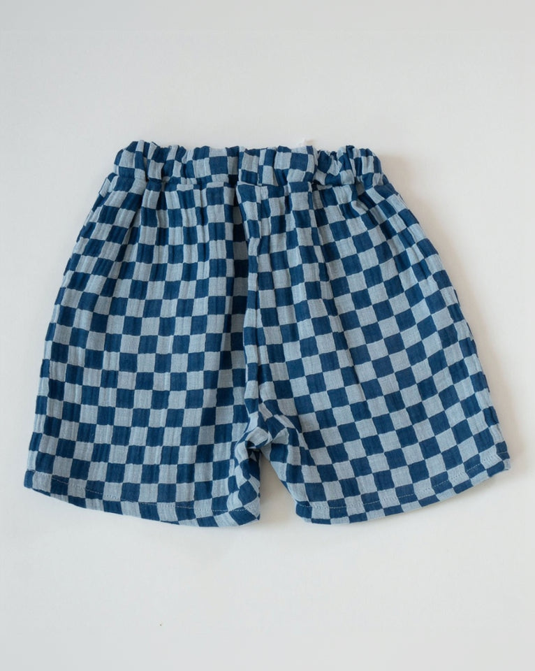 Blue and white checkered shorts on a light gray background